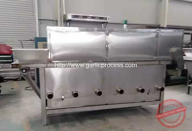 Chain-Type-Garlic-Clove-Peeling-Machine-for-Argentina